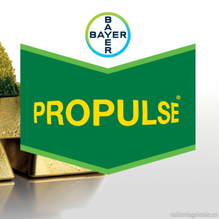 Fungicide - Fungicid cu acțiune sistemică sistemic PROPULSE 250 SE