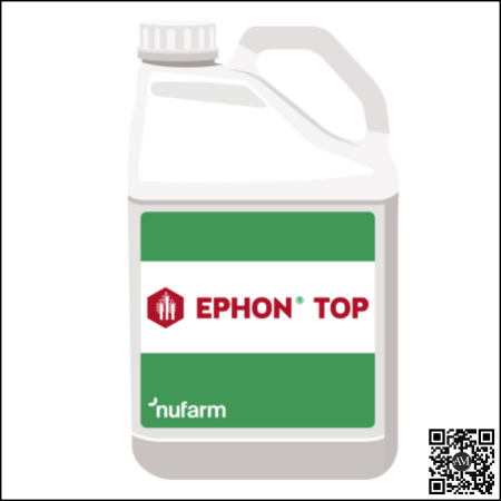 CULTURI - Regulator de creștere EPHON TOP