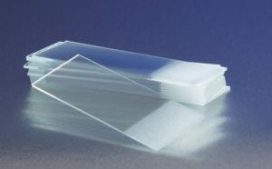 Aparatură veterinară - Lame microscop 25 x 75 mm, cutie 72 buc