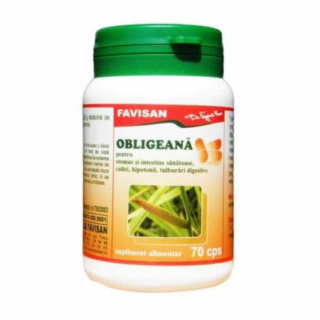 Tulburări gastrointestinale - Obligeana, 70 Capsule