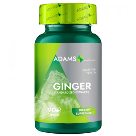 Digestie și metabolism - Ghimbir , 90 Capsule