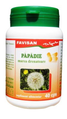 Boli hormonale și de nutriție - Papadie, 40 Capsule