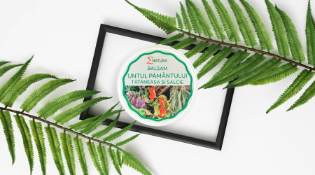 Au, scârțaie și doare-mobilitate scăzută + dureri osoase și articulare - Balsam Cu Untul Pamantului, Tataneasa Si Salcie, 100Ml