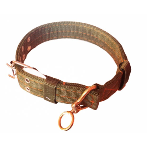 Accesorii animale de companie - Curea caine MATERIAL VERDE 12buc/set