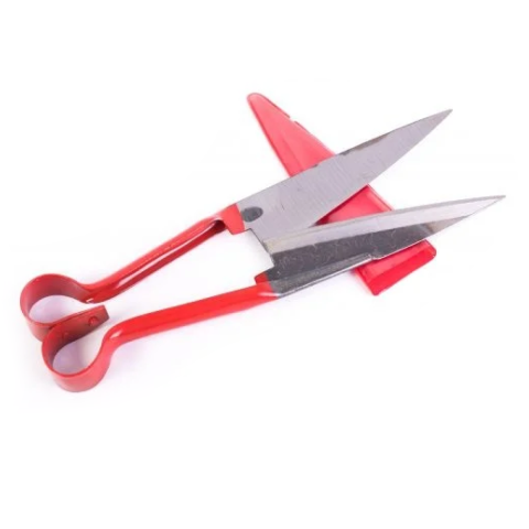 Pet Shop - Foarfeca oaie ROSU ECO