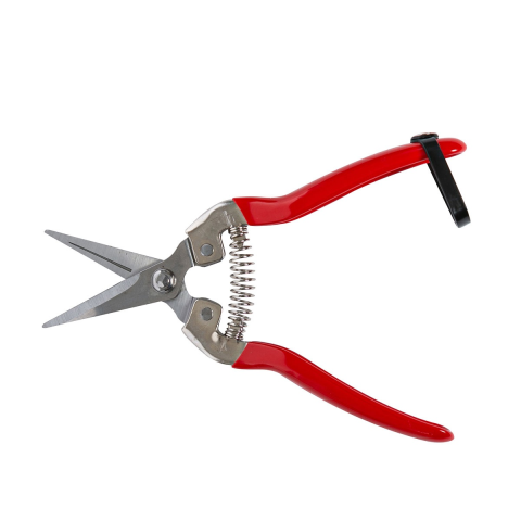 Foarfeci gradinarit - Foarfece de cules legume/fructe 60mm curbata