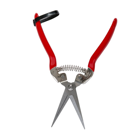 Foarfeci gradinarit - Foarfece de cules legume/fructe 70mm dreapta