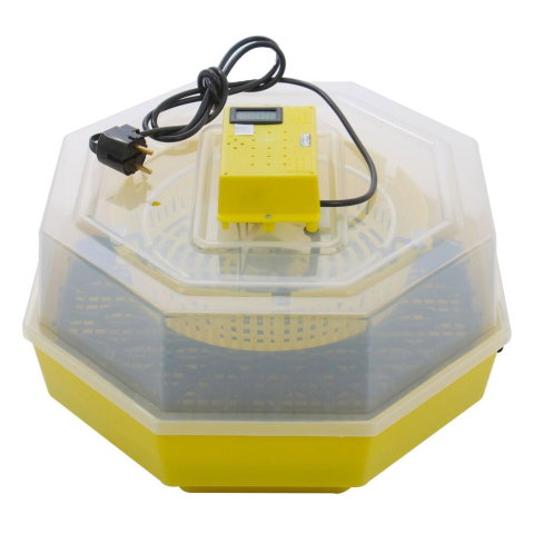 Produse zootehnice - Incubator electric oua (clocitoare) cu dispozitiv de intoarcere si termometru Cleo 5DT, 230 V, 41 oua capacitate