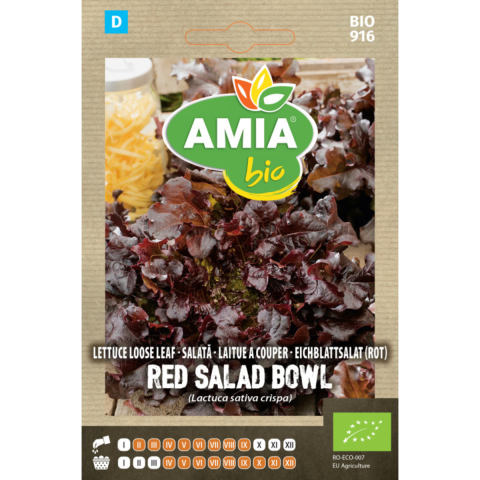 Bulbi, seminte si rasaduri - Seminte bio de salata Amia Red Salad Bowl, 2,5 g