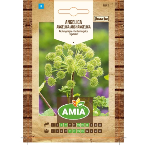 Casa, Gradina & Bricolaj - Seminte de angelica, Amia Farma Line Angelica archangelica