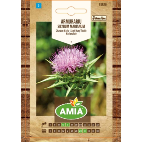 Plante & Flori - Seminte de armurariu, Amia Farma Line, Silybum marianum