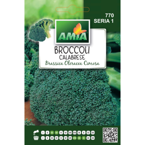 Casa, Gradina & Bricolaj - Seminte de broccoli Calabrese Amia, 3 g