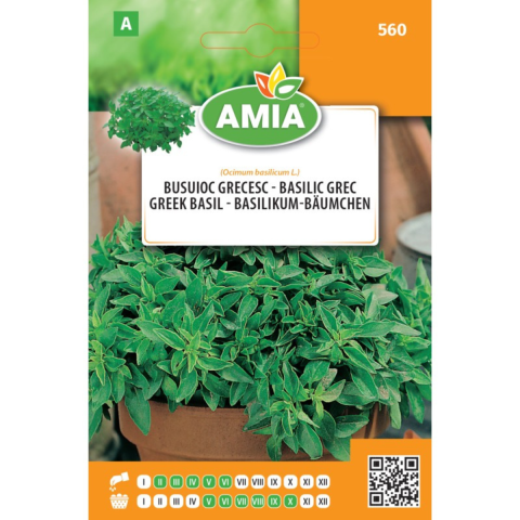 Casa, Gradina & Bricolaj - Seminte de busuioc grecesc Amia, 0,8 g