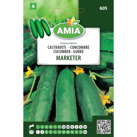 Bulbi, seminte si rasaduri - Seminte de castraveti Amia Marketer, 2 g