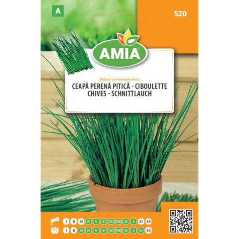 Casa, Gradina & Bricolaj - Seminte de ceapa perena pitica, 1 g