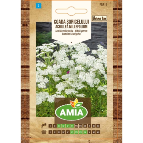 Casa, Gradina & Bricolaj - Seminte de coada soricelului, Amia Achillea millefolium