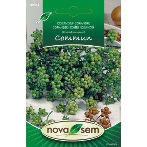 Casa, Gradina & Bricolaj - Seminte de coriandru Novasem, 2 g