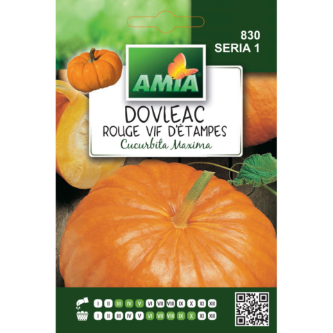 Casa, Gradina & Bricolaj - Seminte de dovleac Rouge Vif d'Etampes Amia, 2 g