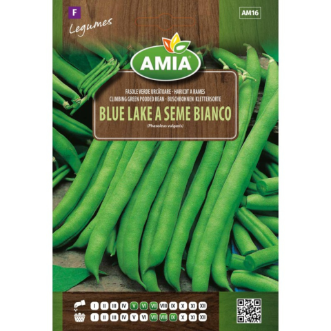 Bulbi, seminte si rasaduri - Seminte de fasole Amia Blue lake a Seme Bianco, 25 g
