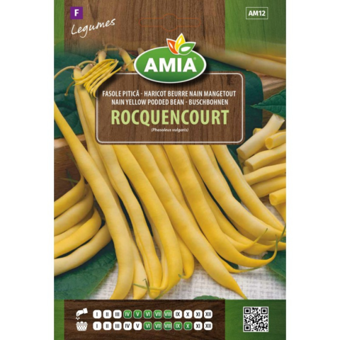Bulbi, seminte si rasaduri - Seminte de fasole fideluta galbena pitica Amia Rocquencourt, 40 g