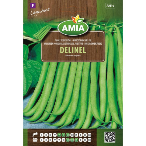 Bulbi, seminte si rasaduri - Seminte de fasole verde pitica Amia Delinel, 35 g