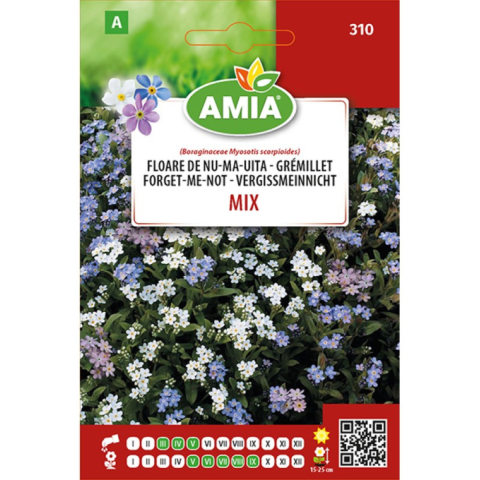 Casa, Gradina & Bricolaj - Seminte de floare de Nu-ma-uita mix Amia, 0,4 g