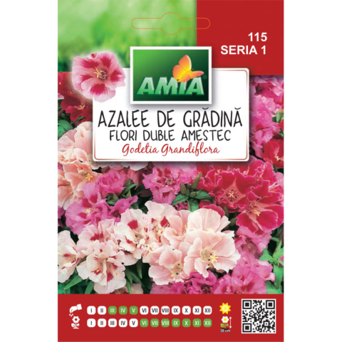 Casa, Gradina & Bricolaj - Seminte de flori Amia azalee de gradina dubla amestec culori 0,5 g