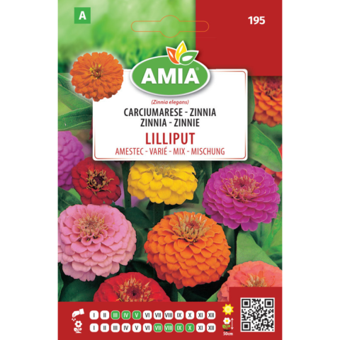 Casa, Gradina & Bricolaj - Seminte de flori Amia Carciumarese Lilliput amestec, 1,5 g