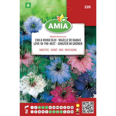 Casa, Gradina & Bricolaj - Seminte de flori Amia Chica voinicului amestec culori, 4 g