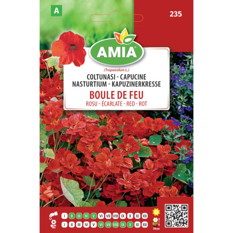 Casa, Gradina & Bricolaj - Seminte de flori Amia coltunasi Boule de feu rosu 1,5 g