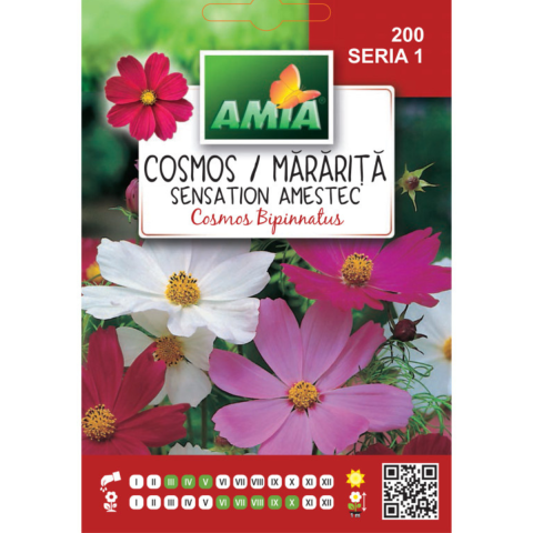 Casa, Gradina & Bricolaj - Seminte de flori Amia Cosmos Mararita sensation variata 2 g