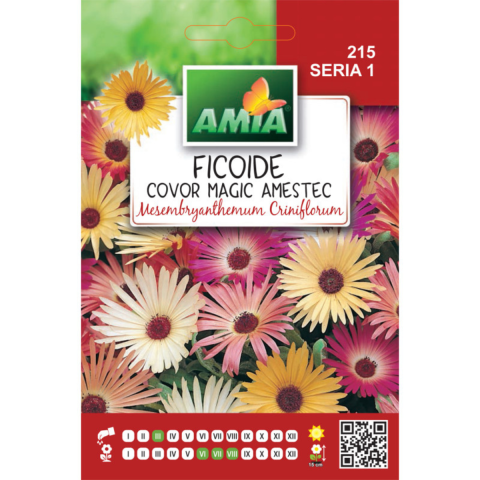 Casa, Gradina & Bricolaj - Seminte de flori Amia Ficoide Tapis magique amestec culori, 1 g