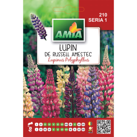 Casa, Gradina & Bricolaj - Seminte de flori Amia Lupin hibrid de Russell amestec culori, 0,5 g