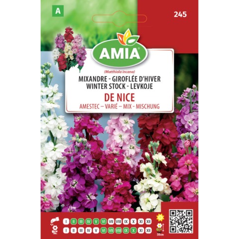 Casa, Gradina & Bricolaj - Seminte de flori Amia Mixandre d hiver de Nice amestec culori, 0,5 g