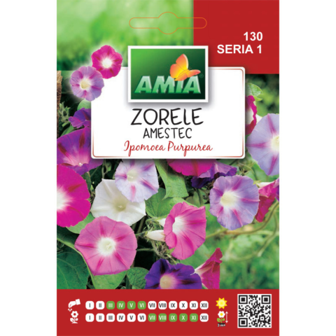 Casa, Gradina & Bricolaj - Seminte de flori Amia Zorele amestec culori, 3 g