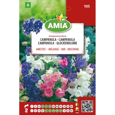 Casa, Gradina & Bricolaj - Seminte de flori Campanula simplu amestec culori, 0,6 g
