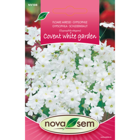 Casa, Gradina & Bricolaj - Seminte de flori floarea miresei de gradina alba Novasem, 1 g