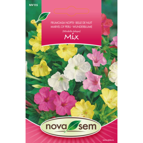 Casa, Gradina & Bricolaj - Seminte de flori frumoasa noptii amestec Novasem, 2,5 g