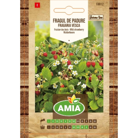 Casa, Gradina & Bricolaj - Seminte de fragi de padure, Amia Fragaria vesca, 0.02 g