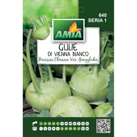 Bulbi, seminte si rasaduri - Seminte de gulie Amia Viena Bianco, 3 g