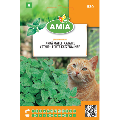 Casa, Gradina & Bricolaj - Seminte de iarba pentru pisica Amia, 4 g