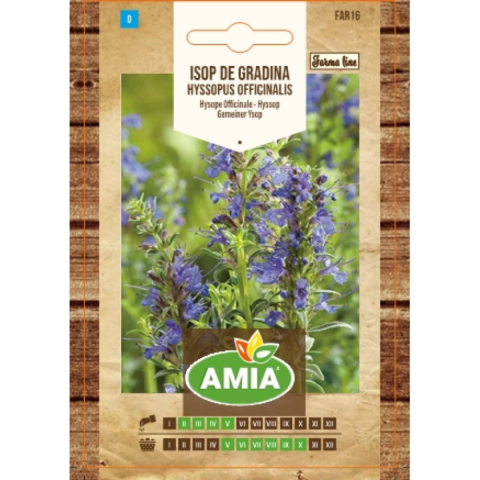Casa, Gradina & Bricolaj - Seminte de Isop de gradina, Amia Hyssopus officinalis, 0.5 g