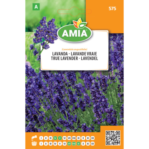 Casa, Gradina & Bricolaj - Seminte de lavanda Amia, 0,1 g