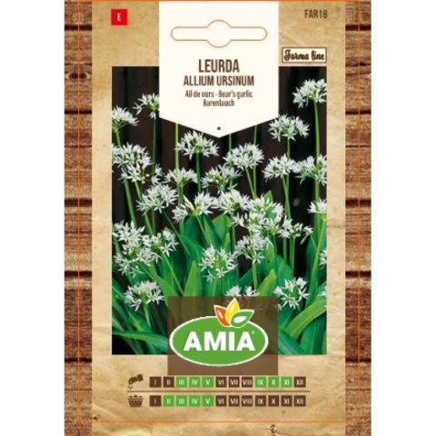 Bulbi, seminte si rasaduri - Seminte de leurda, Amia Allium ursinum