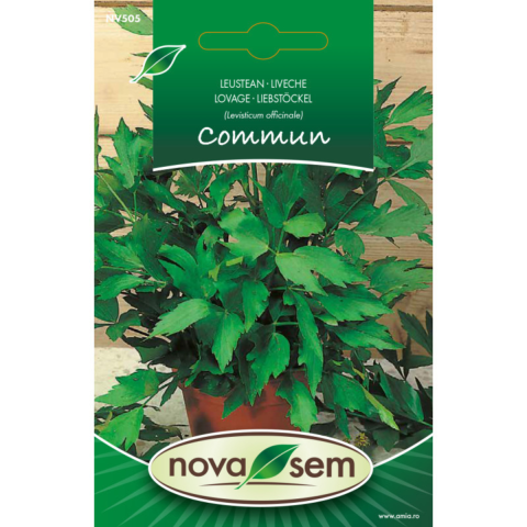 Casa, Gradina & Bricolaj - Seminte de leustean Novasem, 0,3 g