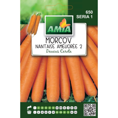 Bulbi, seminte si rasaduri - Seminte de morcov Amia Nantaise amelioree 4 g