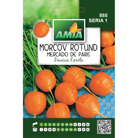 Casa, Gradina & Bricolaj - Seminte de morcov rotund Amia, 2 g