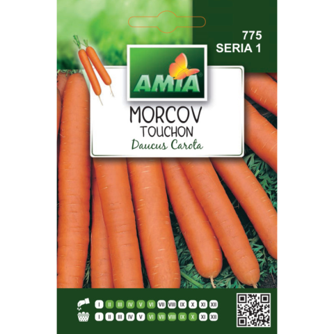 Casa, Gradina & Bricolaj - Seminte de morcov Touchon Amia, 3 g
