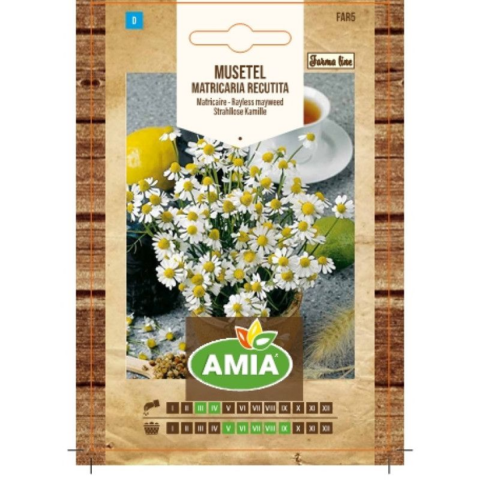Plante & Flori - Seminte de musetel, Amia Farma Line Matricaria recutita / Matricaria Chamomilla