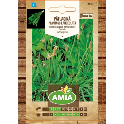 Plante & Flori - Seminte de patlagina, Amia Farma Line, Plantago lanceolata